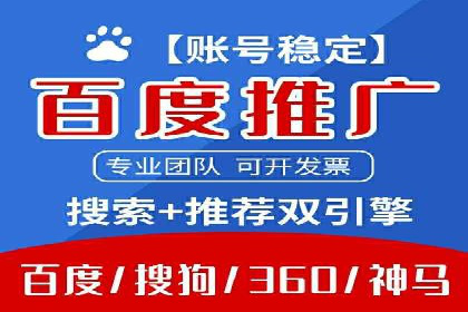 解析sem代运营公司经典案例：如何实现ROI最大化
